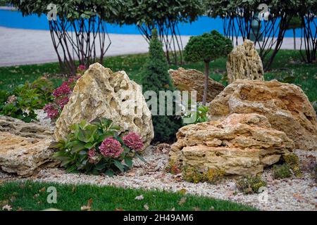 Paesaggio nel parco della città. Pietre di conifere, conifere e cespugli di hydrangea. Belle piante in un letto di fiori decorato vicino alla casa. Pietre grandi e. Foto Stock