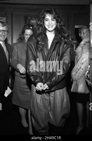 Brooke Shields Circa 1980's Credit: Ralph Dominguez/MediaPunch Foto ...