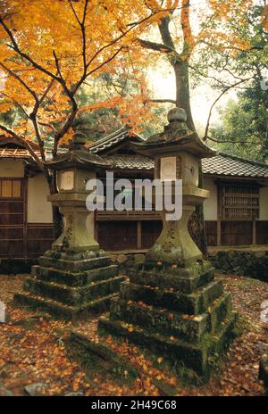 Giappone. Nara. Kasuga Taisha Santuario. Lanterne di pietra. Foto Stock