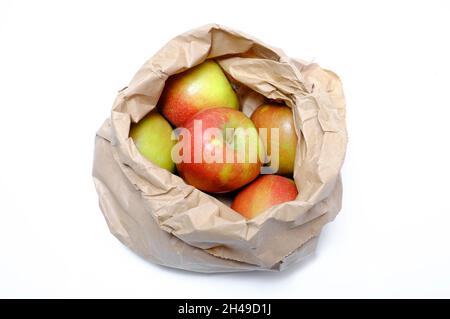 sacchetto di carta marrone pieno di mele braeburn su sfondo bianco, norfolk, inghilterra Foto Stock