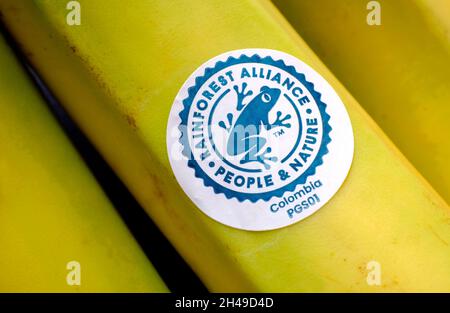 adesivo dell'alleanza della foresta pluviale sulla banana gialla Foto Stock