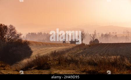 Autunno nebbioso e nebbia paesaggio con torre di caccia e profilo albero su una nebbia all'alba, Puklice Vysocina Repubblica Ceca Foto Stock