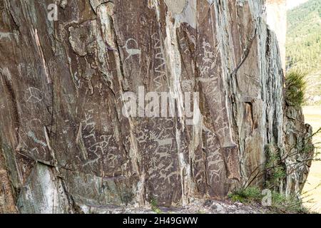 Dipinti rupestri conservati - petroglifi nelle montagne di Altai raffigurano animali selvatici, scene di caccia di persone dell'età del bronzo o del periodo scitiano. Individuare liberamente Foto Stock