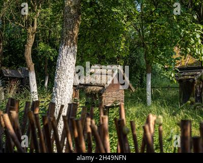 OPOLE, POLONIA - 20 giugno 2021: Alveare tradizionale e alberi da frutto calcareo nel giardino, circondato da un vecchio recinto di legno, in una giornata di sole estate. Foto Stock