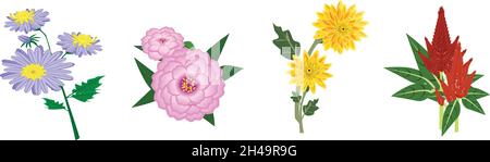I fiori fioriscono in autunno-Astro, Camilia, Chrysanthemum, Celosia Illustrazione Vettoriale