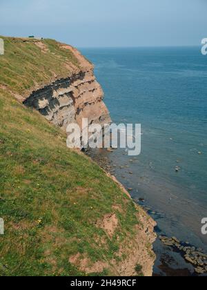 Il Jurassic scisto scogliere e strati in Cowbar Staithes North Yorkshire Inghilterra Regno Unito - North Sea Coast Foto Stock