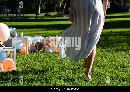 Babyshower sul picnic in aria con le ragazze Foto Stock