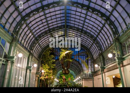 Design art nouveau delle Royal Glasshouses di Laeken, Bruxelles Foto Stock