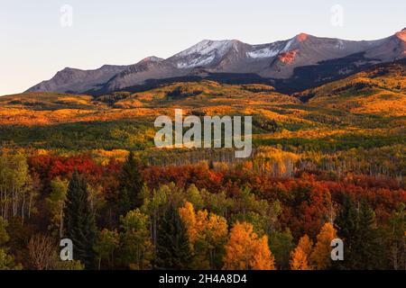 Aspen tress con colori autunnali nelle West Elk Mountains da Kebler Pass vicino Crested Butte, Colorado Foto Stock