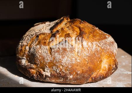 Vista frontale di un Pan di pane di pasta di Sourdough Foto Stock