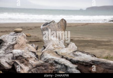 Point Reyes National Seashore è una contea di Marin sulla costa pacifica della California settentrionale negli Stati Uniti. Foto Stock