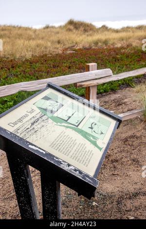 Point Reyes National Seashore è una contea di Marin sulla costa pacifica della California settentrionale negli Stati Uniti. Foto Stock