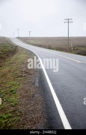 Point Reyes National Seashore è una contea di Marin sulla costa pacifica della California settentrionale negli Stati Uniti. Foto Stock