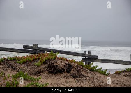 Point Reyes National Seashore è una contea di Marin sulla costa pacifica della California settentrionale negli Stati Uniti. Foto Stock