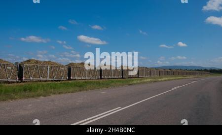 Treno di canna, Queensland, Australia Foto Stock