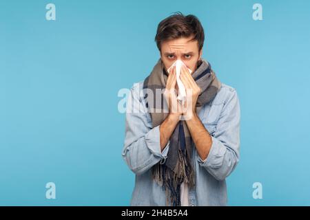 Ritratto di uomo in denim camicia e sciarpa caldo tosse starnutire duro in tovagliolo, sensazione di malessere con naso che cola, grave allergia stagionale, sintomi influenzali. Studio interno girato isolato su sfondo blu. Foto Stock