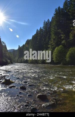 Il fiume Lower Lewis sotto le cascate, un popolare punto di escursionismo e campeggio, a fine estate. Gifford Pinchot National Forest, Washington state, USA. Foto Stock