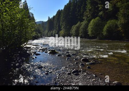 Il fiume Lower Lewis sotto le cascate, un popolare punto di escursionismo e campeggio, a fine estate. Gifford Pinchot National Forest, Washington state, USA. Foto Stock