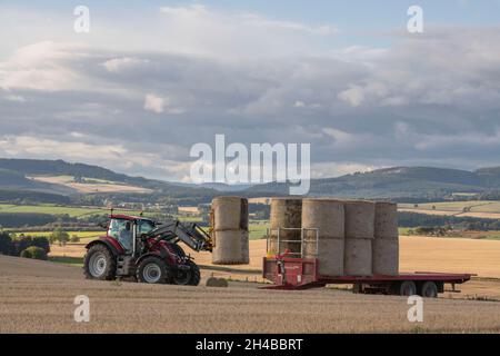 Una vista sulla campagna dell'Aberdeenshire in un tardo pomeriggio di autunno, con un agricoltore che carica balle di paglia su un rimorchio rosso Marshall Foto Stock