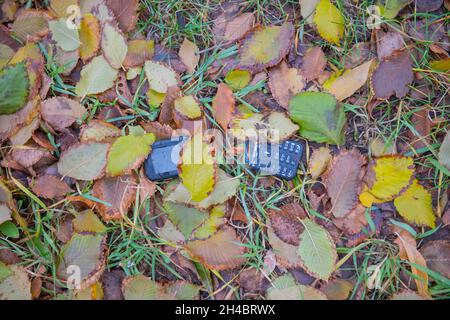 un telefono rotto si trova nel fogliame autunnale Foto Stock