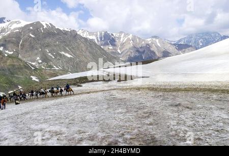 Gruppo di cavalieri su un pendio di una montagna innevata Foto Stock