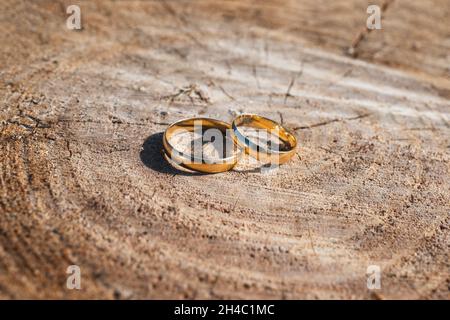 Primo piano di anelli di nozze dorati su un ceppo naturale dell'albero. Foto di alta qualità Foto Stock