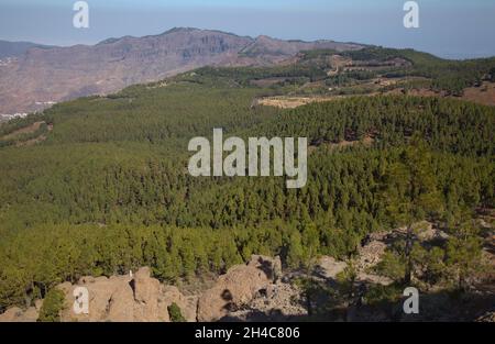 Gran Canaria, parte centrale dell'isola, Las Cumbres, cioè i vertici Foto Stock