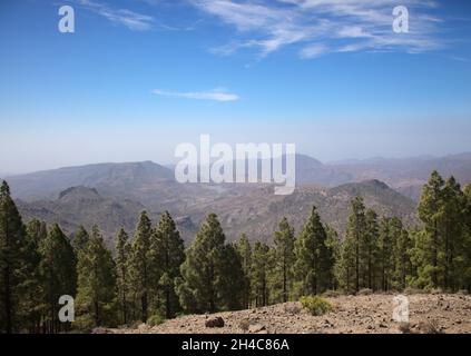 Gran Canaria, parte centrale montana dell'isola, Las Cumbres, vale a dire i vertici , paesaggi lungo il popolare percorso escursionistico Camino de Plata Foto Stock