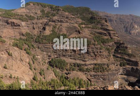 Gran Canaria, parte centrale montana dell'isola, Las Cumbres, vale a dire i vertici , paesaggi lungo il popolare percorso escursionistico Camino de Plata Foto Stock