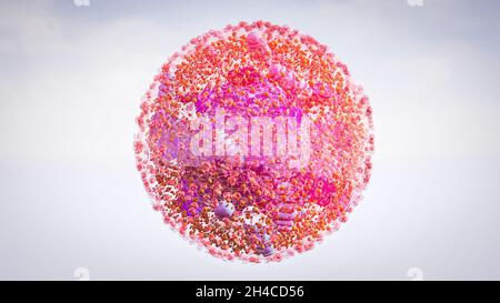 Componenti di cellule umane di una cellula eucariotica, nucleo e organelli e membrana plasmatica Golgi, mitocondri, ER liscio, ER ruvido, lisosoma, endosoma Foto Stock