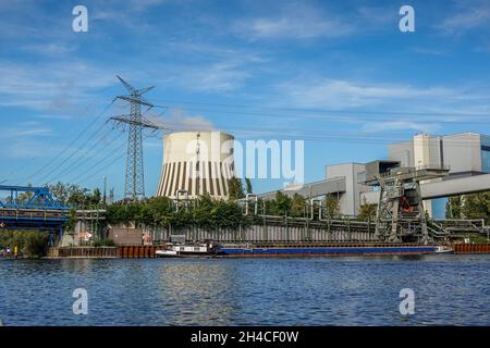 Kran, Schiff, Entladung Steinkohle, Kühlturm, Spree, Kraftwerk Reuter West, Siemensstadt, Spandau, Berlino, Germania Foto Stock