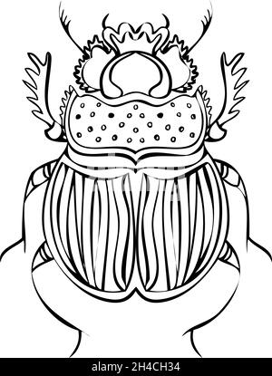 Illustrazioni vettoriali di linea di Beetle. Stile disegno a mano Illustrazione Vettoriale