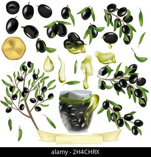 Grande Collezione con olive nere, vaso di vetro con olive, rami con olive e foglie, olio di gocce, olivo. Icone vettoriali per il vostro disegno. Illustrazione vettoriale. Illustrazione Vettoriale