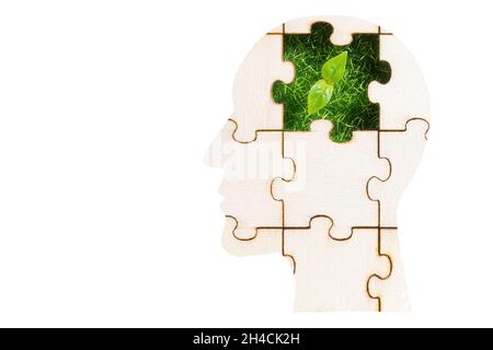Puzzle a forma di testa maschio con un germoglio verde visibile attraverso il pezzo mancante isolato su bianco. Sviluppare una mentalità verde. Foto Stock
