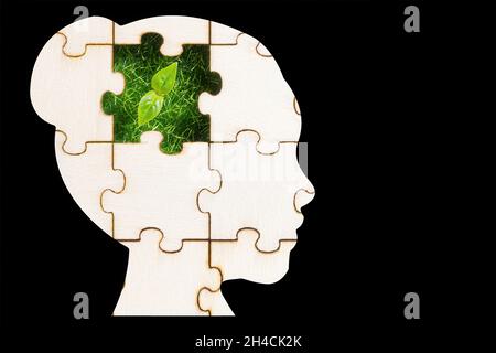Puzzle a forma di testa della donna con un germoglio verde visibile attraverso il pezzo mancante. Il concetto di piantare un'idea nella mente di qualcuno. Foto Stock