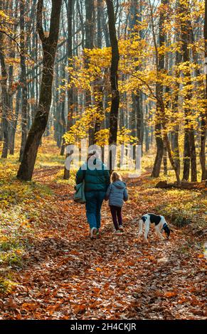 Donna e bambino in giacche con un cane nella foresta d'autunno. Vista dal retro. Sullo sfondo caduti foglie e tronchi d'albero. Mamma e figlia in t Foto Stock