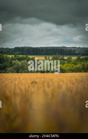Campi in un villaggio serbo con cielo nuvoloso sullo sfondo Foto Stock