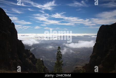 Gran Canaria, parte centrale dell'isola, Las Cumbres, cioè i vertici Foto Stock