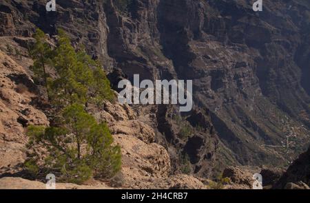 Gran Canaria, parte centrale dell'isola, Las Cumbres, cioè i vertici Foto Stock