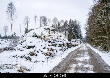 Strada forestale con pali di legno in inverno Foto Stock