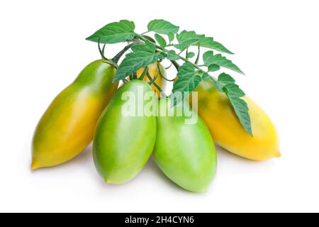 Pomodori a susina verdi e gialli isolati su bianco Foto Stock