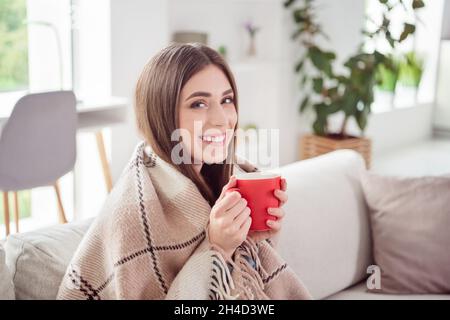 Foto di allegro sereno bella signora tenere tazza tè sit divano toothy sorriso indossare camicia blu casa al coperto Foto Stock