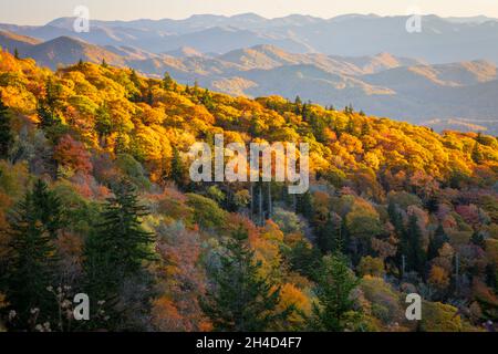 Fork Ridge si affaccia lungo la Blueridge Pkwy. Foto Stock