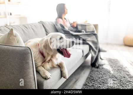 Adorabile cane seduto sul divano, la sua padrona femmina coccola in plaid caldo con tazza di caffè al chiuso, fuoco selettivo Foto Stock