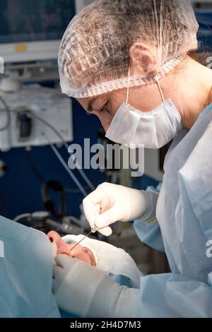 Primo piano del viso di un paziente sottoposto a blefaroplastica. Il chirurgo taglia la palpebra ed esegue manipolazioni con strumenti medici. Foto Stock