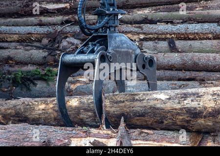 Una gru con ganasce carica tronchi di albero su una pila Foto Stock