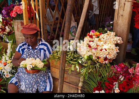 Madagascar. Antananarivo (Tananarive). La ville basse. Marche aux fleurs du lac Anosy. // Madagascar. Antananarivo (Tananarive). Città bassa. Marchio del fiore Foto Stock