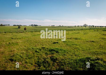 Il paesaggio della provincia di Limburgo con valli e colline nelle vicinanze del villaggio di Mechelen, Paesi Bassi Foto Stock