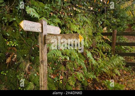 Un cartello di legno sul sentiero tra il Landacre Bridge e Withypool nella Barle Valley nel Parco Nazionale Exmoor, Somerset, Inghilterra. Foto Stock