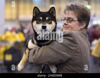 Un proprietario di cani con Akita durante il primo giorno del più grande spettacolo di cani del mondo, Crufts, giovedì 10 marzo 2016 presso il National Exhibition Centre (NEC) di Birmingham. Foto Stock